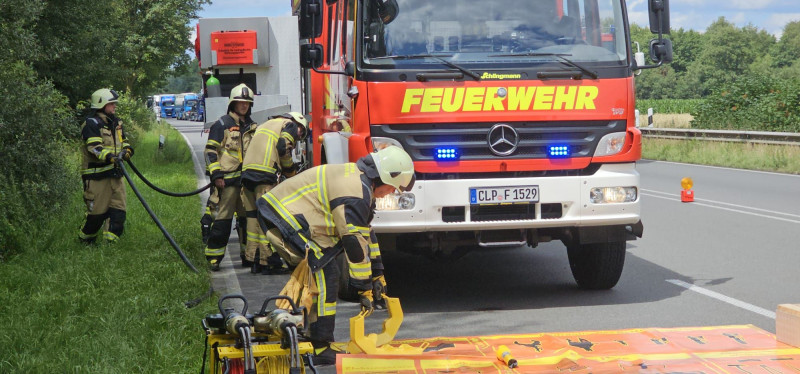 Foto 1 von 11 vergrößern
