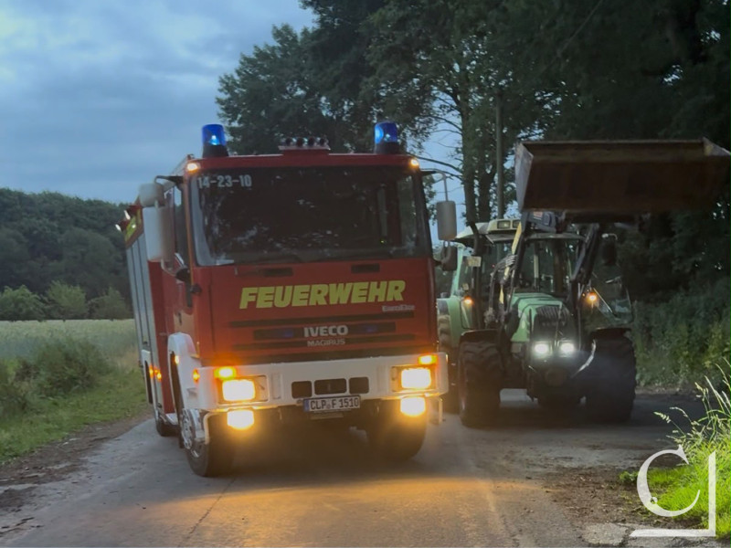 Foto 2 von 12 vergrößern