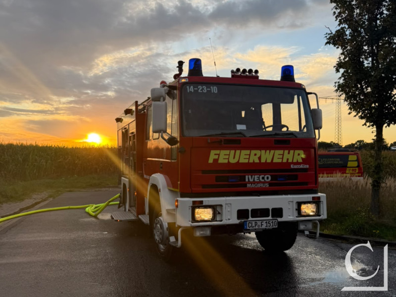 Foto 1 von 12 vergrößern